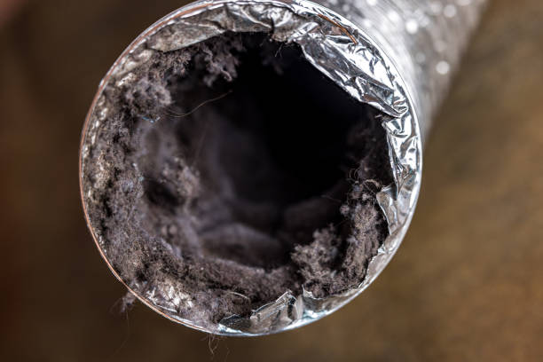 Best HVAC Duct Inspection Services  in Newburg, WI