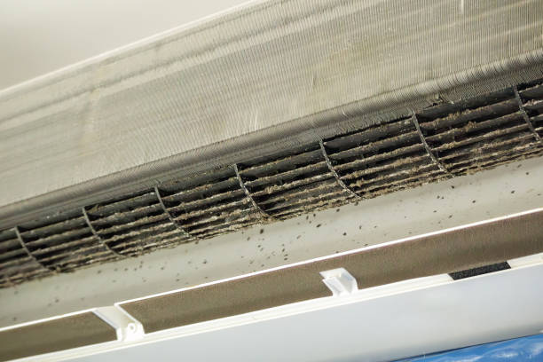 Best Affordable HVAC Duct Cleaning  in Newburg, WI